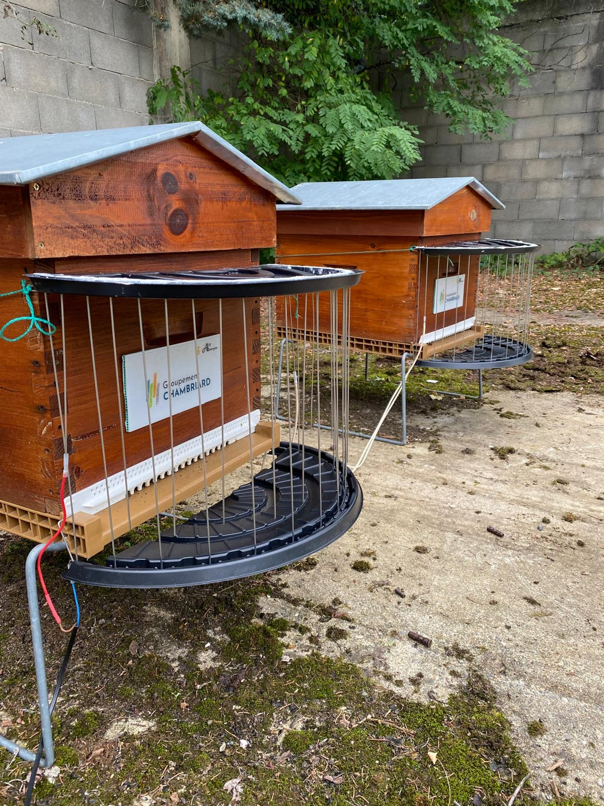 Cage Bee Quiet Fille - avec câbles Haute Tension (plusieurs longueurs)